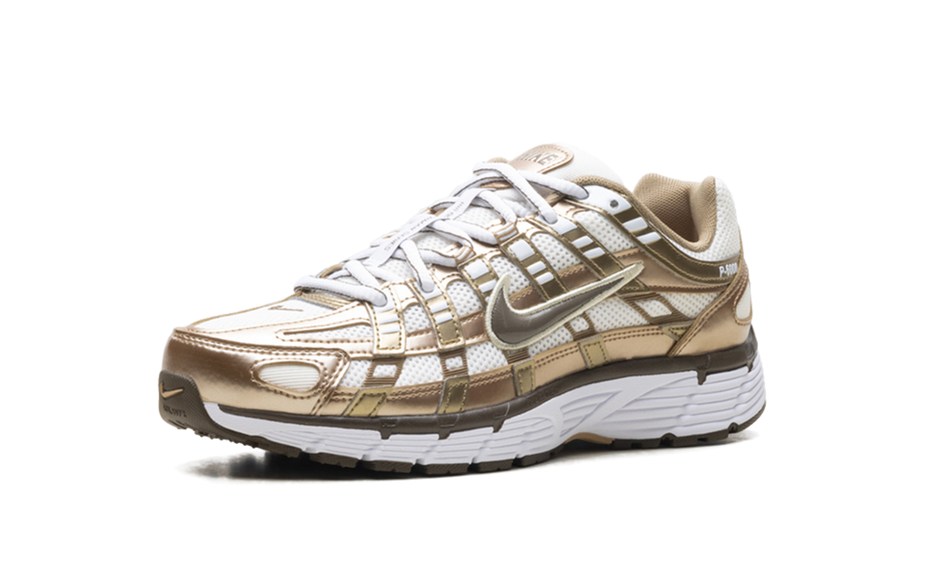 P-6000 WMNS "Sail Linen Dark Hazel" IO3496 104